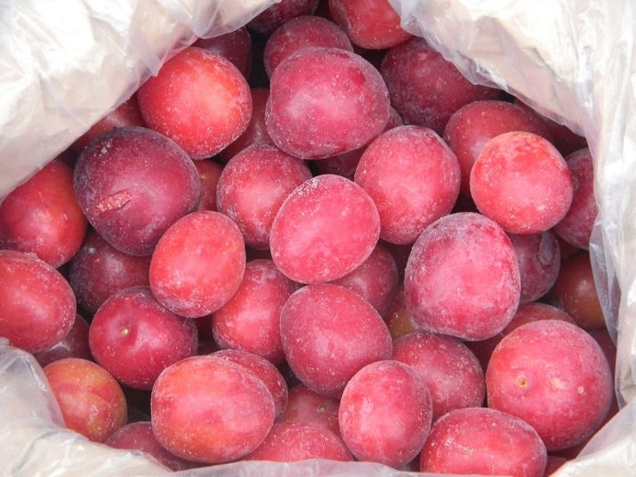 Компот из алычи пить. kak svarit kompot iz alychi. Компот из алычи пить фото. Компот из алычи пить-kak svarit kompot iz alychi. картинка Компот из алычи пить. картинка kak svarit kompot iz alychi. Предлагаю воспользоваться простым рецептом ароматного и очень вкусного компота из алычи и абрикосов. Алычу можно брать любого цвета, на вкус компота это никак не повлияет. Сладкий компот очень нравится маленьким детям, поэтому приготовьте его обязательно и порадуйте своих малышей.
