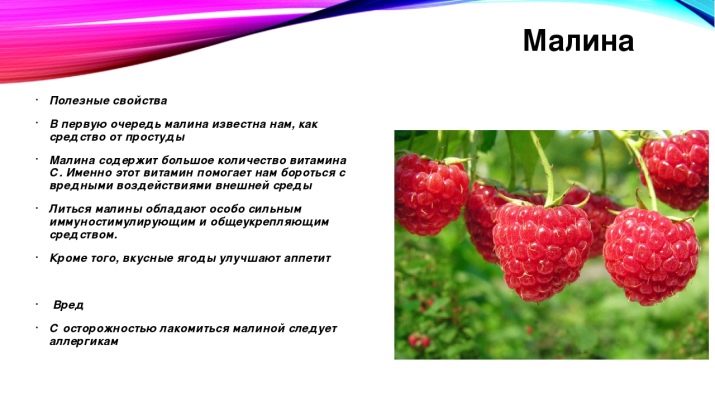 Сколько кальция в малине. kakie vitaminy i mineraly soderzhatsya v maline 6. Сколько кальция в малине фото. Сколько кальция в малине-kakie vitaminy i mineraly soderzhatsya v maline 6. картинка Сколько кальция в малине. картинка kakie vitaminy i mineraly soderzhatsya v maline 6. Энергетическая ценность Малина сушеная составляет 239,7 кКал.