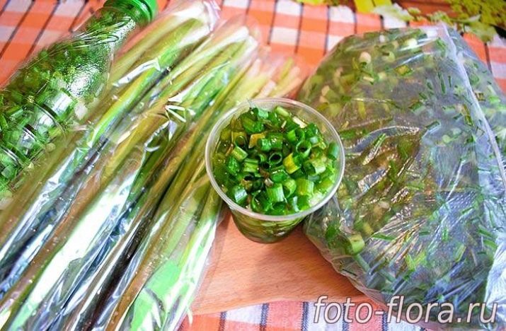 Зеленый лук как сохранить рецепт