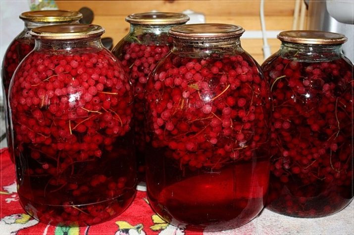 Как сделать морс из замороженных ягод. Смотреть фото Как сделать морс из замороженных ягод. Смотреть картинку Как сделать морс из замороженных ягод. Картинка про Как сделать морс из замороженных ягод. Фото Как сделать морс из замороженных ягод