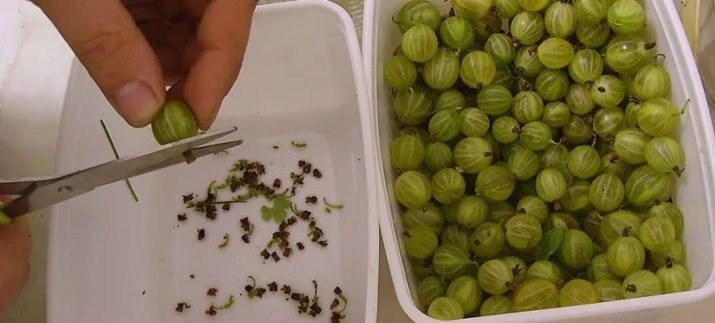 Крыжовниковое варенье через мясорубку. recepty varenya iz protertogo cherez myasorubku kryzhovnika 18. Крыжовниковое варенье через мясорубку фото. Крыжовниковое варенье через мясорубку-recepty varenya iz protertogo cherez myasorubku kryzhovnika 18. картинка Крыжовниковое варенье через мясорубку. картинка recepty varenya iz protertogo cherez myasorubku kryzhovnika 18. Изумрудное или рубиновое, сладкое и с кислинкой, полезное и ароматное… Все это можно сказать про варенье из крыжовника с апельсином. Его нужно обязательно приготовить на зиму, чтобы порадовать себя и удивить своих близких таким замечательным лакомством. Стоит напомнить, что крыжовник благоприятно влияет на пищеварительную систему, а апельсины укрепляют иммунитет. Еще думаете? Лучше сразу приступайте к готовке.