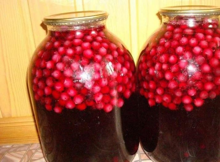 Компот из замороженной ирги. kak svarit vkusnyj kompot iz irgi i kakovy ego svojstva. Компот из замороженной ирги фото. Компот из замороженной ирги-kak svarit vkusnyj kompot iz irgi i kakovy ego svojstva. картинка Компот из замороженной ирги. картинка kak svarit vkusnyj kompot iz irgi i kakovy ego svojstva. Когда закатка «обязательных» продуктов питания окончена, приходит время заготовки всякой вкуснятины.