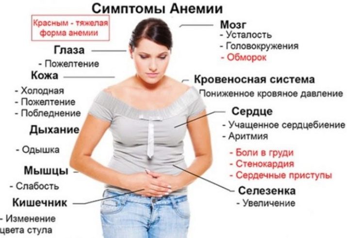 Можно ли есть копченого кальмара