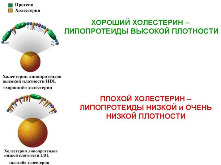 Содержание холестерина в мясе креветки