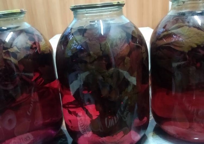 Компот из базилика польза. kak svarit kompot iz bazilika 10. Компот из базилика польза фото. Компот из базилика польза-kak svarit kompot iz bazilika 10. картинка Компот из базилика польза. картинка kak svarit kompot iz bazilika 10. Этот необычный напиток обладает очень ярким и оригинальным вкусом, который по достоинству оценили многие люди. Научиться готовить его довольно просто, но прежде, чем тратить на это время и силы, разумнее будет узнать о пользе и вреде компота из базилика, и уж только потом решать, хотите ли вы видеть его на своем столе.