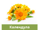Календула