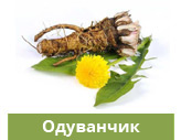 Одуванчик