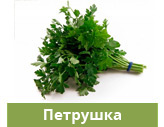 Петрушка